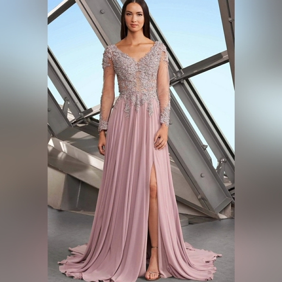 Alexander By Daymor NWT Clay Pink Beaded Lace Maxi Ball Gown Dress Size 6 #1157 - Picture 1 of 10